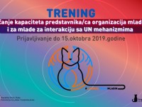 Jačanje kapaciteta organizacija mladih i za mlade za interakciju sa UN mehanizmima - Kragujevac